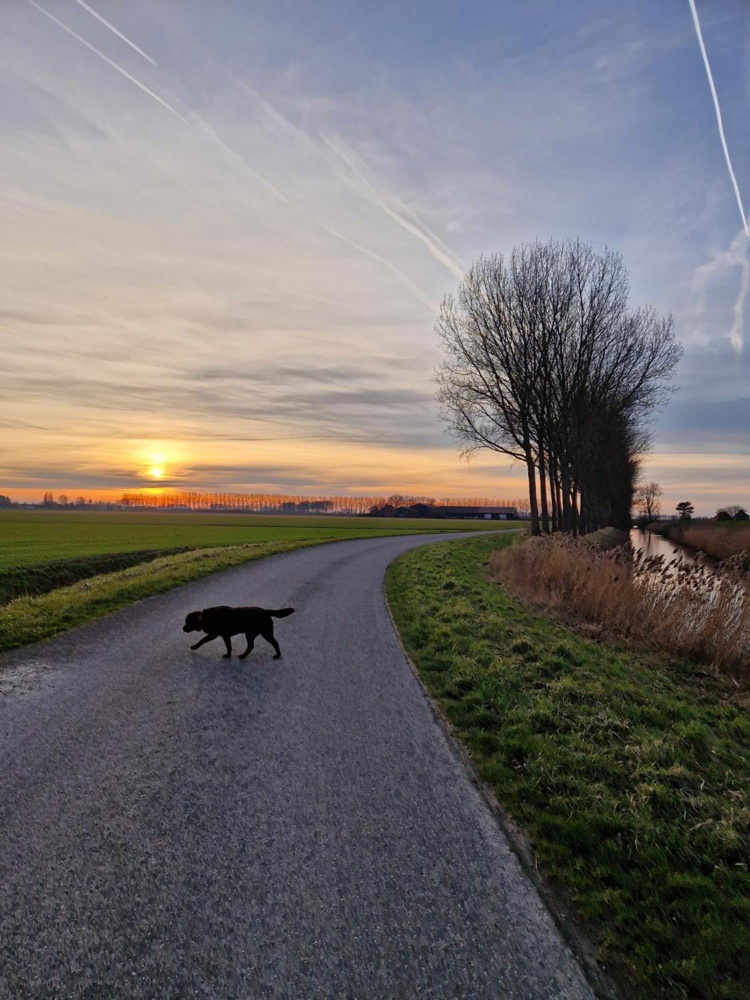 De Bedstee Schoondijke Exterior foto